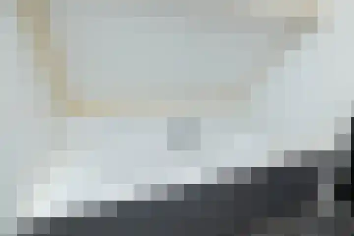 van Leeuwenhoekstraat 31 Hoogeveen thumbnail 36