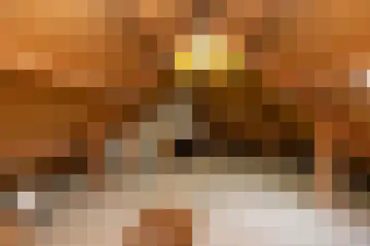 van Leeuwenhoekstraat 31 Hoogeveen thumbnail 37