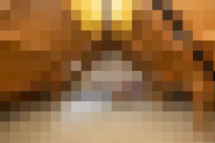 van Leeuwenhoekstraat 31 Hoogeveen thumbnail 38