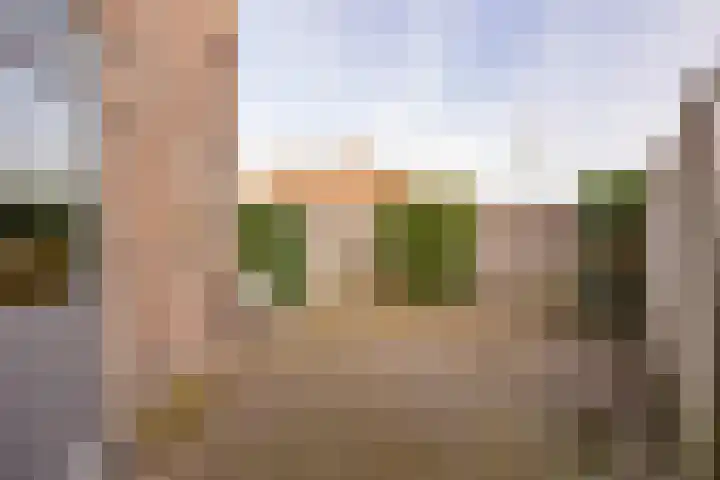 van Leeuwenhoekstraat 31 Hoogeveen thumbnail 39