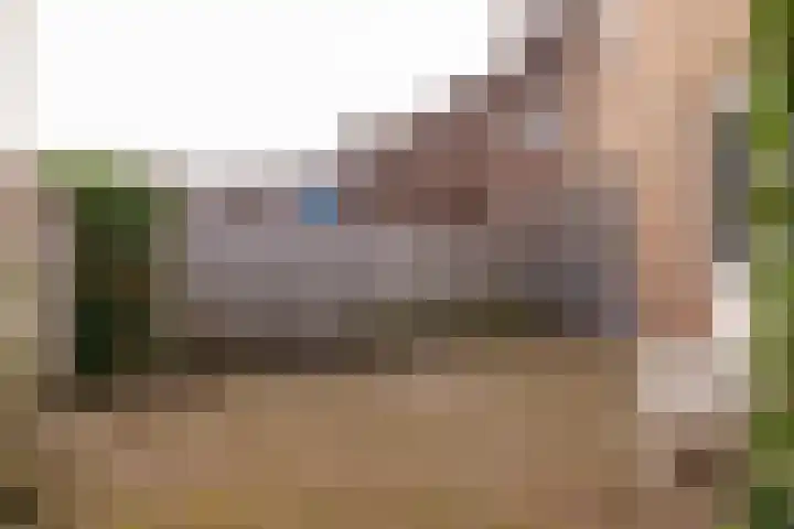 van Leeuwenhoekstraat 31 Hoogeveen thumbnail 40