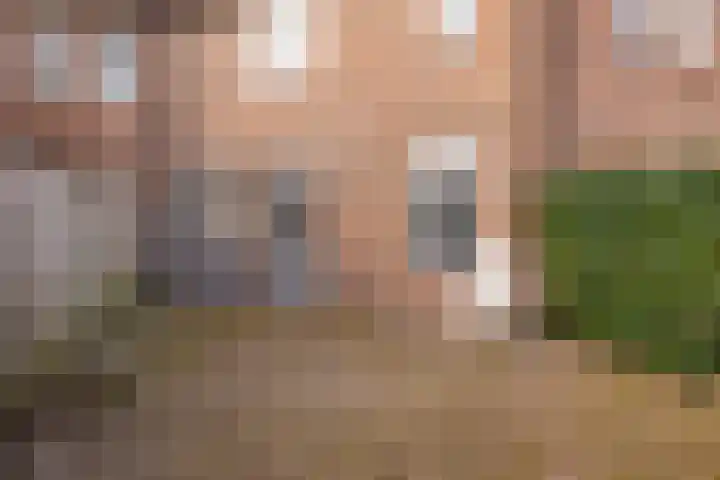 van Leeuwenhoekstraat 31 Hoogeveen thumbnail 41