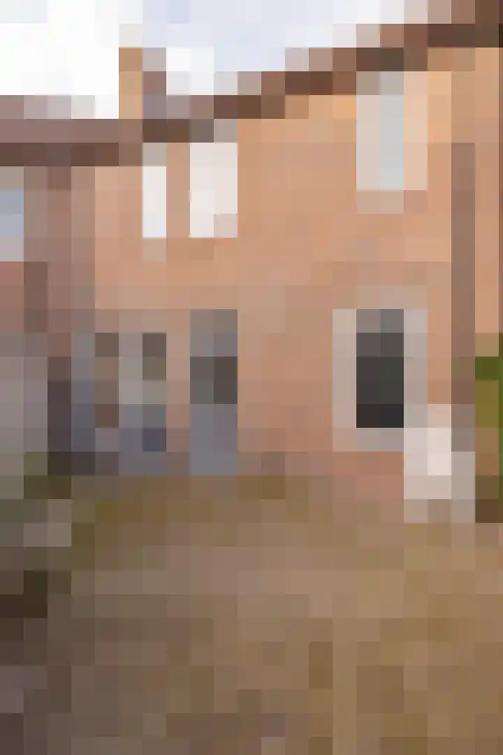 van Leeuwenhoekstraat 31 Hoogeveen thumbnail 42