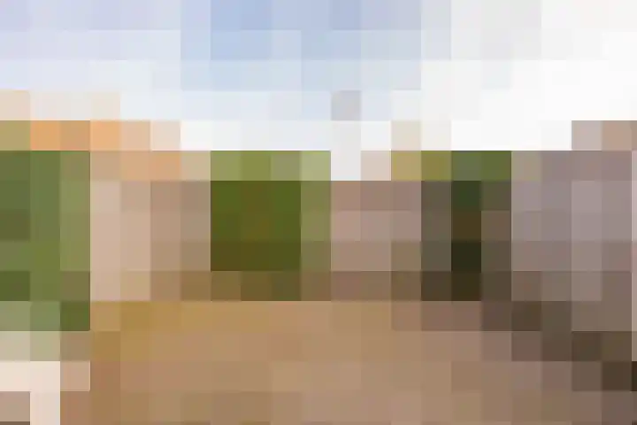 van Leeuwenhoekstraat 31 Hoogeveen thumbnail 43