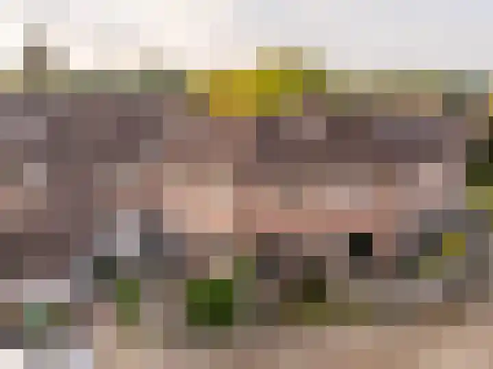 van Leeuwenhoekstraat 31 Hoogeveen thumbnail 45