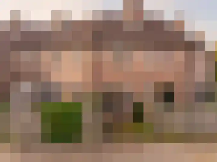 van Leeuwenhoekstraat 31 Hoogeveen thumbnail 47