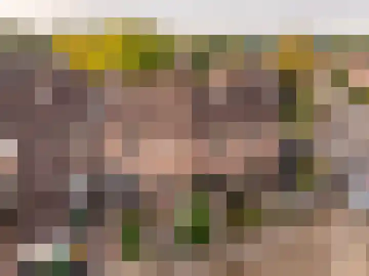 van Leeuwenhoekstraat 31 Hoogeveen thumbnail 5