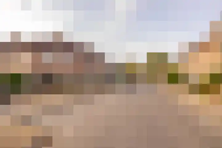 van Leeuwenhoekstraat 31 Hoogeveen thumbnail 51