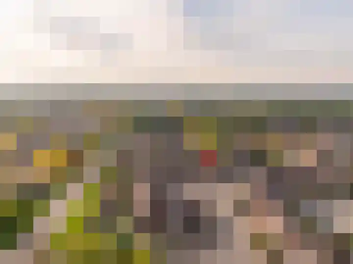 van Leeuwenhoekstraat 31 Hoogeveen thumbnail 53