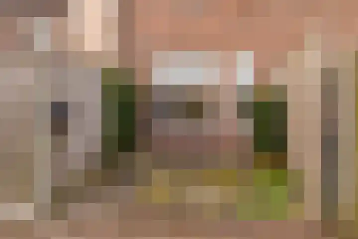 van Leeuwenhoekstraat 31 Hoogeveen thumbnail 7