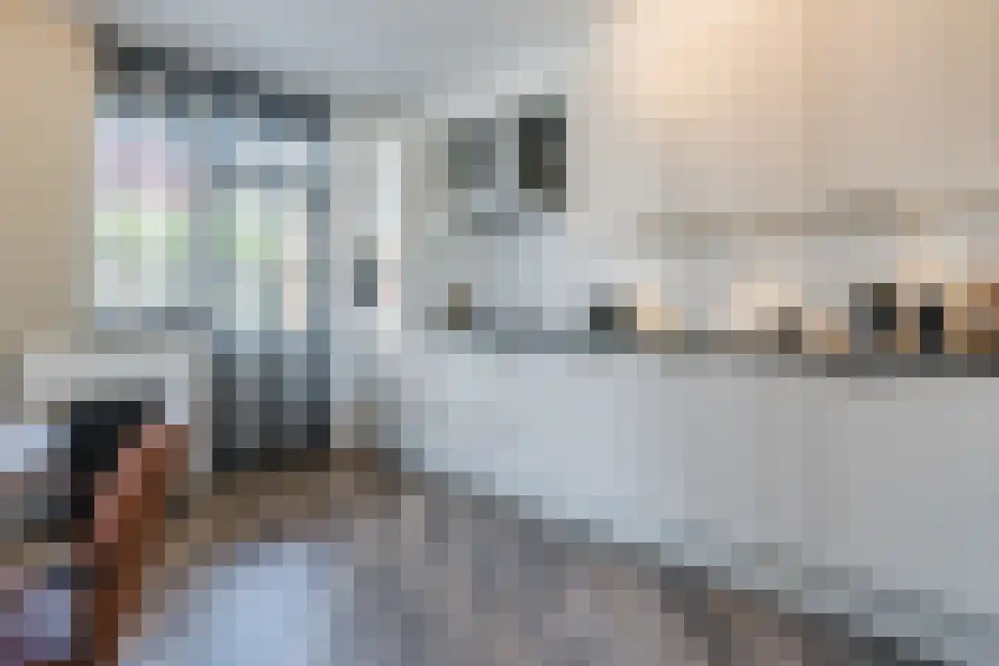 van Leeuwenhoekstraat 33 Hoogeveen thumbnail 16