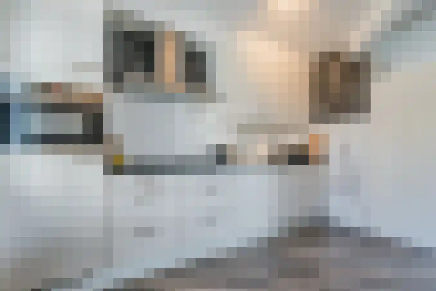van Leeuwenhoekstraat 33 Hoogeveen thumbnail 17