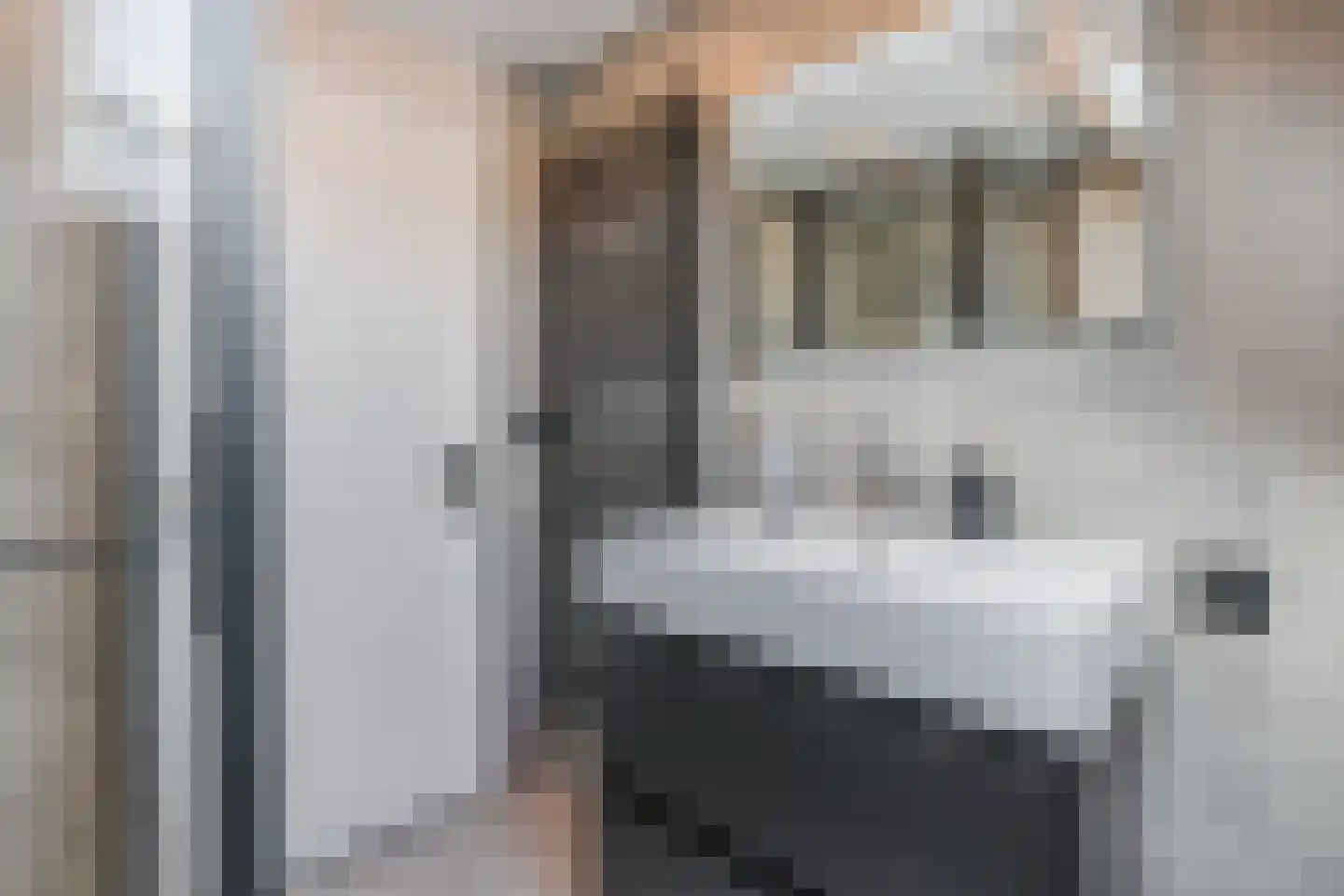 van Leeuwenhoekstraat 33 Hoogeveen thumbnail 31