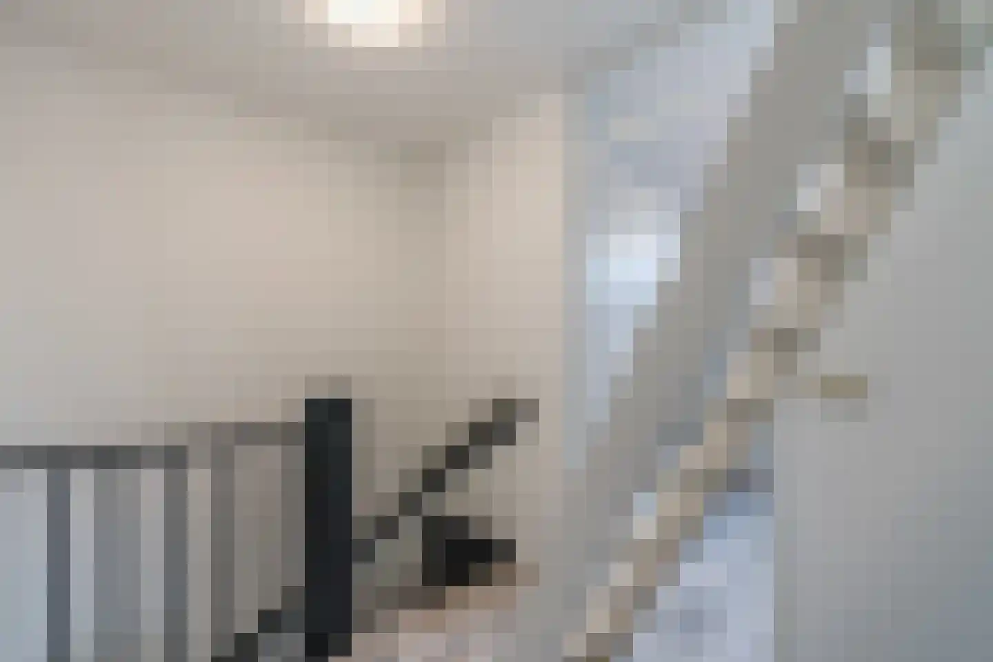 van Leeuwenhoekstraat 33 Hoogeveen thumbnail 33