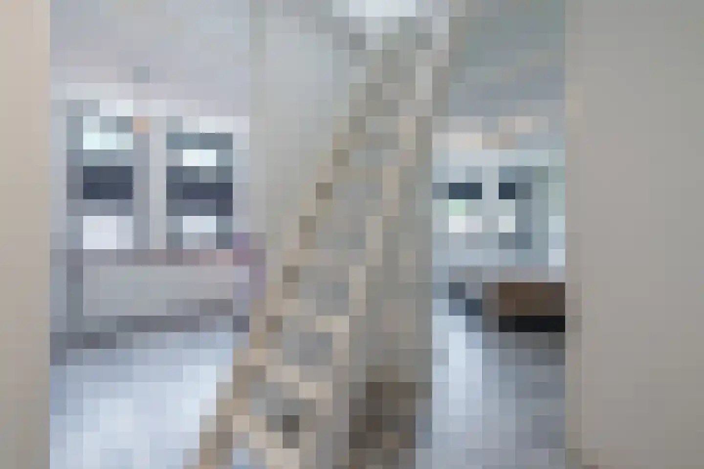 van Leeuwenhoekstraat 33 Hoogeveen thumbnail 34