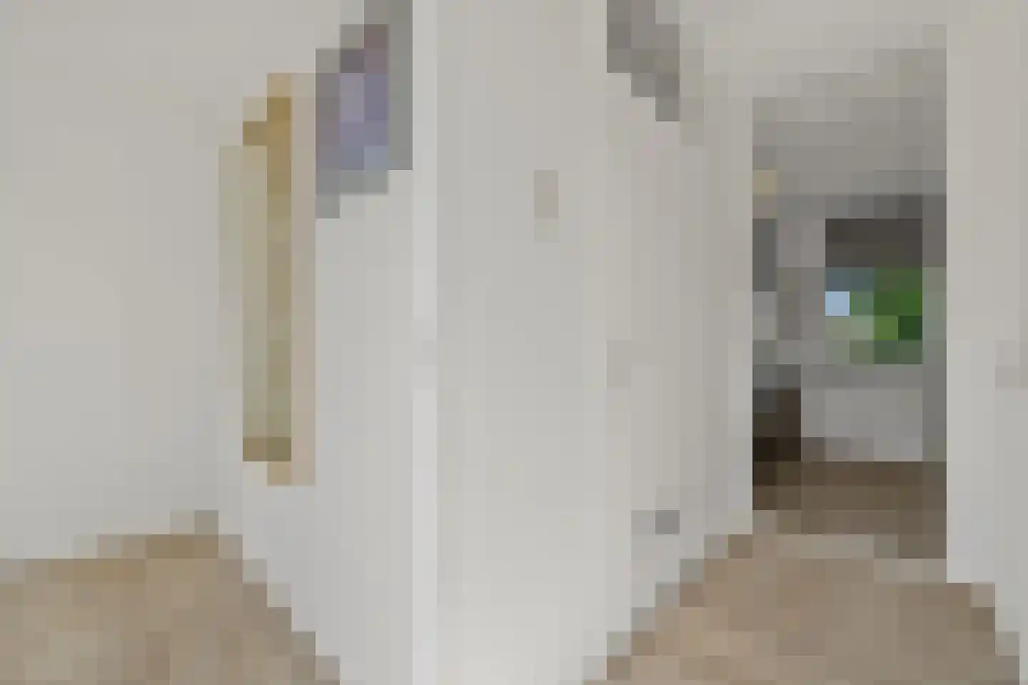 Van Leeuwenhoekstraat 34 Den Haag thumbnail 17