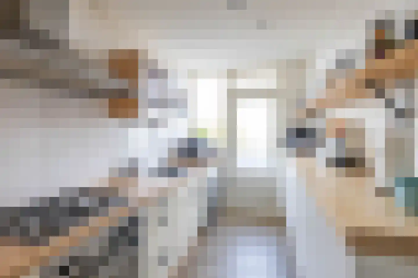 Van Leeuwenhoekstraat 35 Groningen thumbnail 21