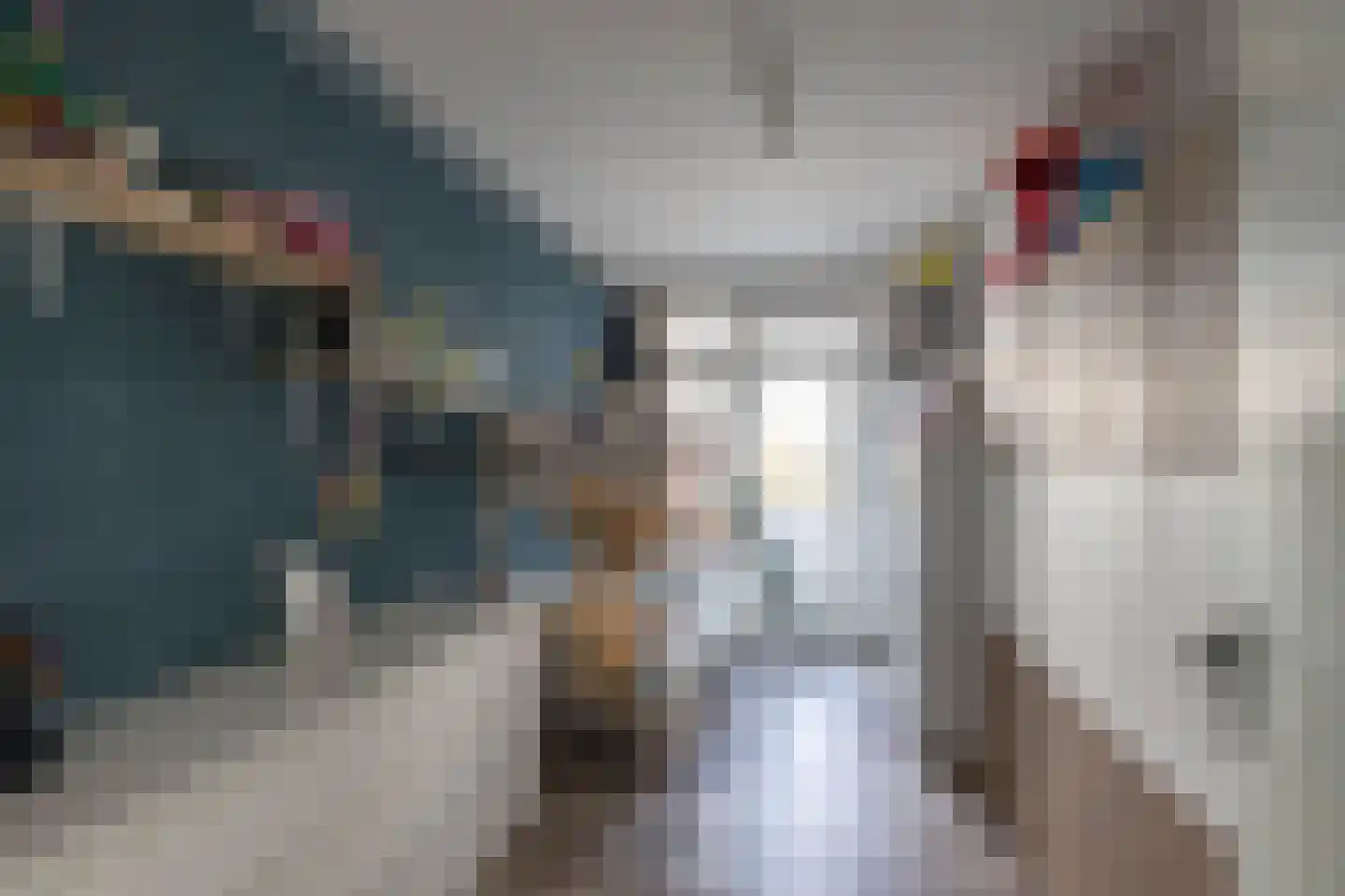 Van Leeuwenhoekstraat 35 Groningen thumbnail 25