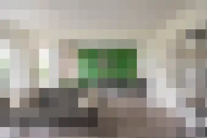 Van Leeuwenhoekstraat 37 Groningen thumbnail 10