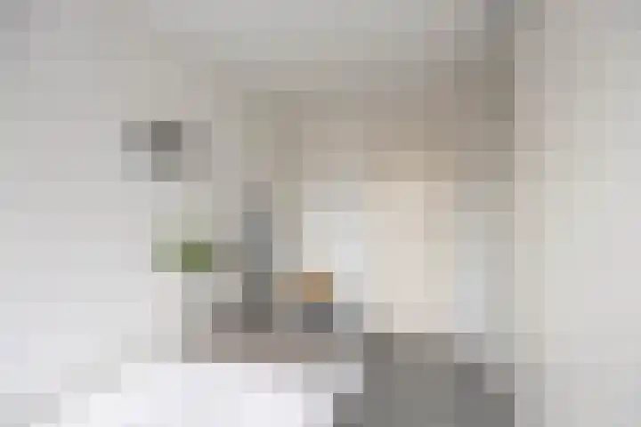 Van Leeuwenhoekstraat 37 Groningen thumbnail 17