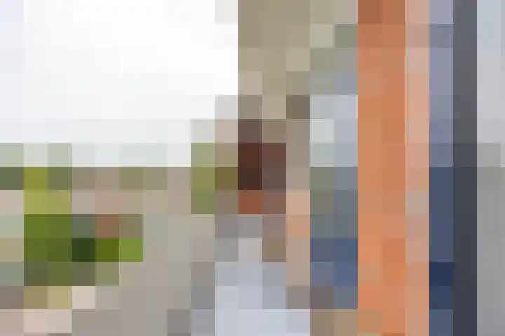 Van Leeuwenhoekstraat 37 Groningen thumbnail 26