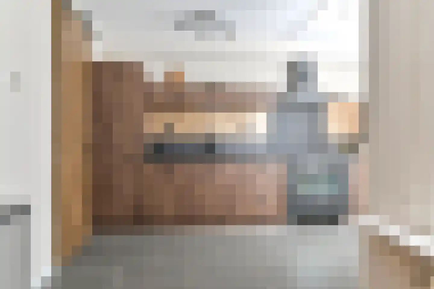 van Leeuwenhoekstraat 38 Hoogeveen thumbnail 17