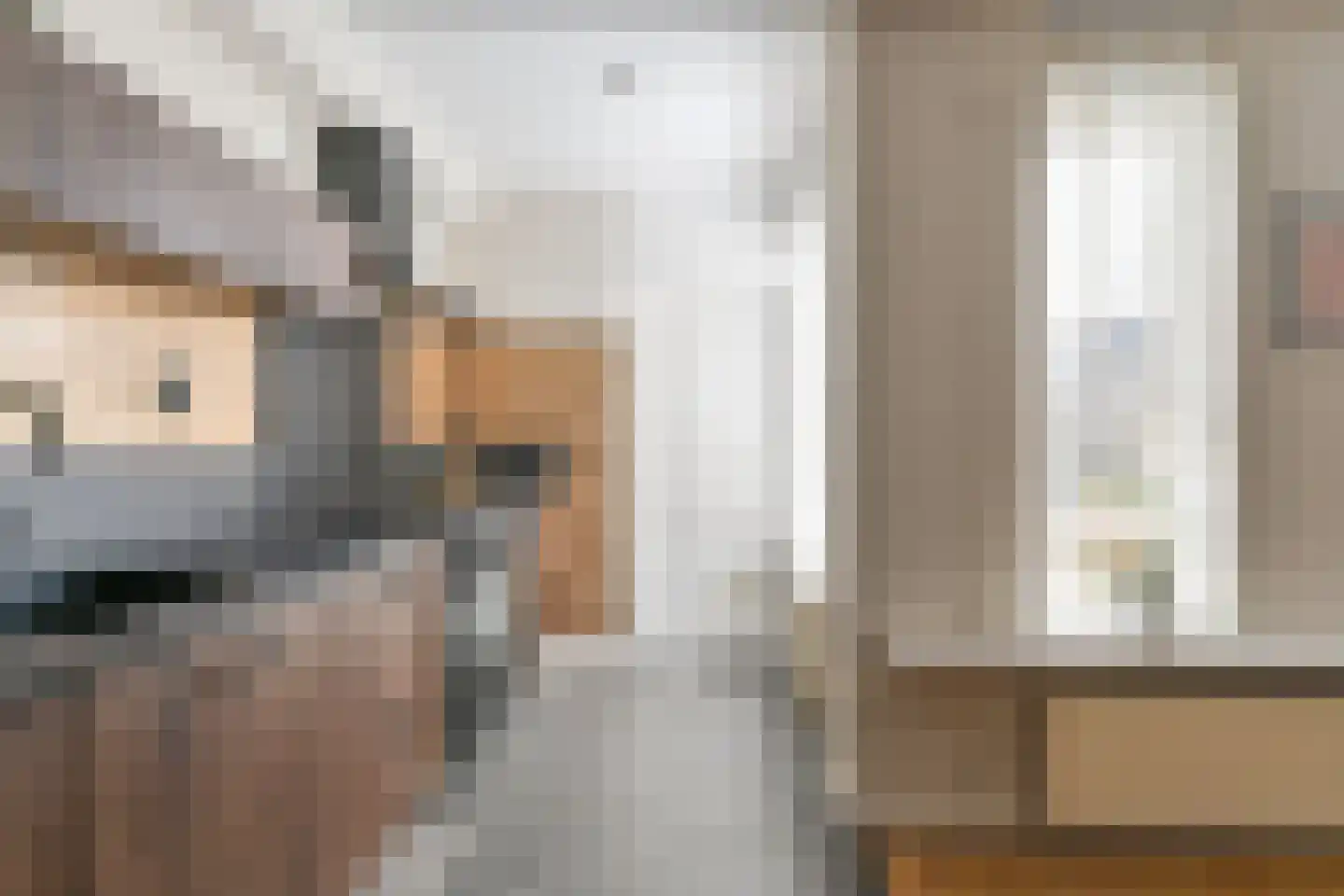 van Leeuwenhoekstraat 38 Hoogeveen thumbnail 18