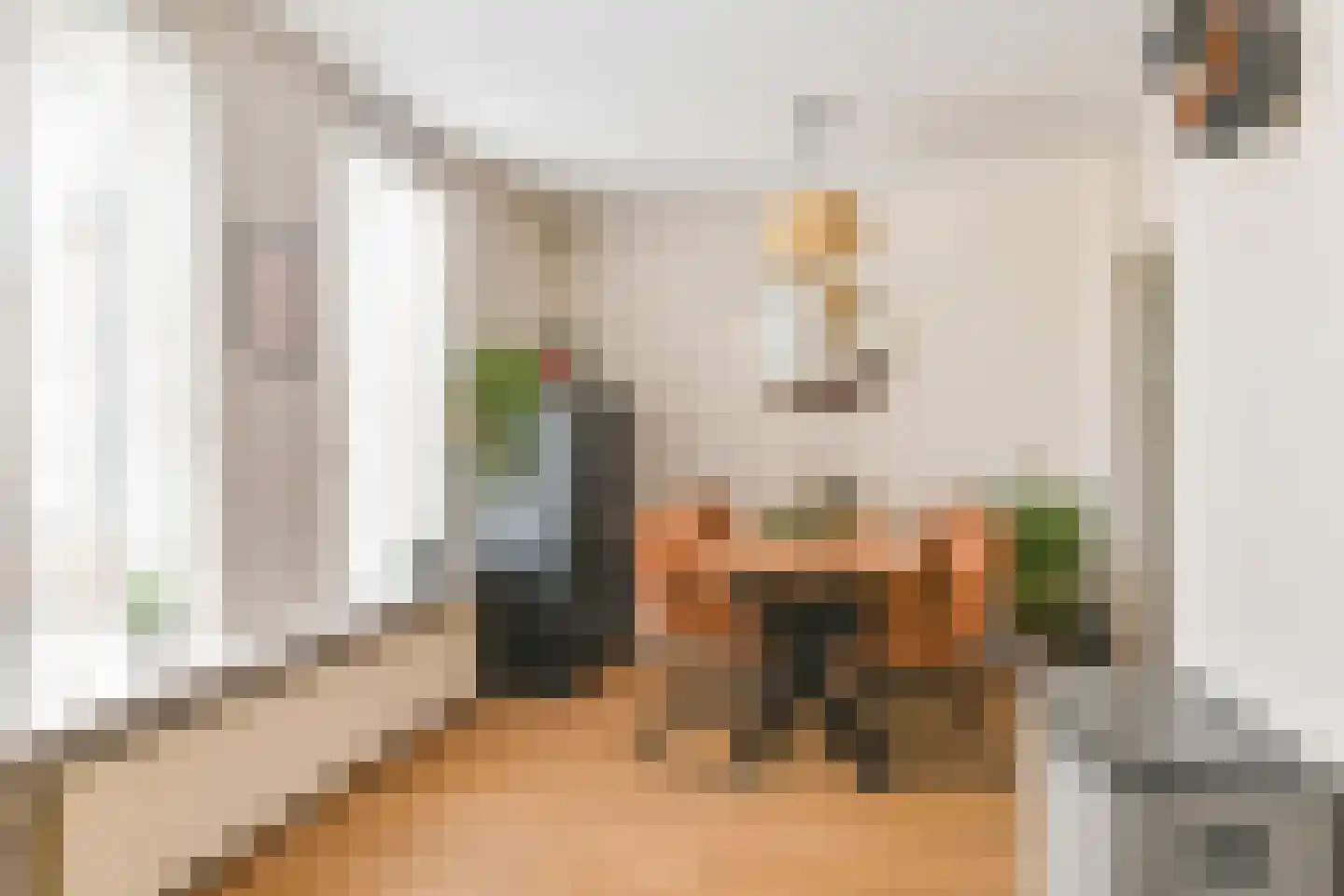 van Leeuwenhoekstraat 38 Hoogeveen thumbnail 20