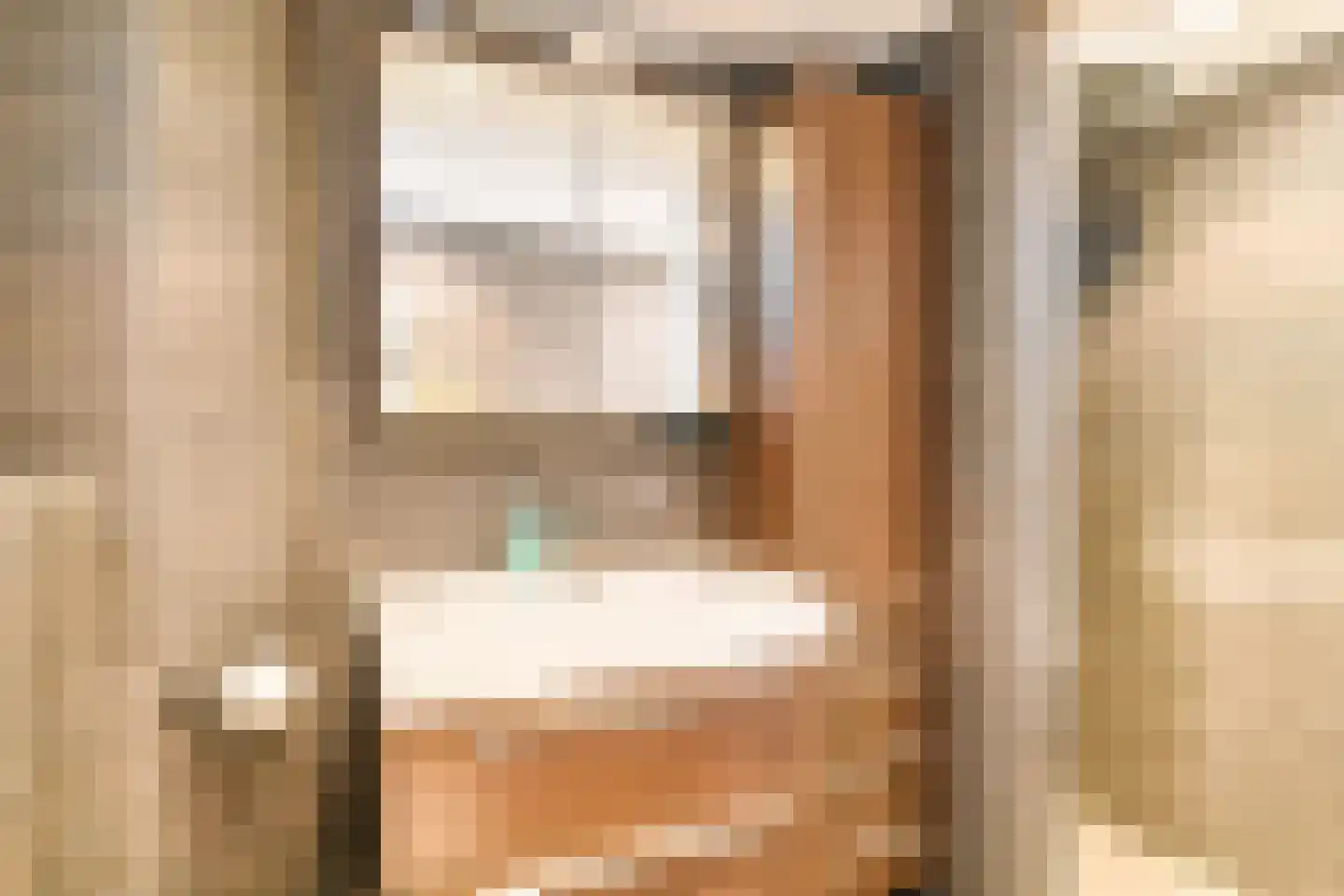 van Leeuwenhoekstraat 38 Hoogeveen thumbnail 31