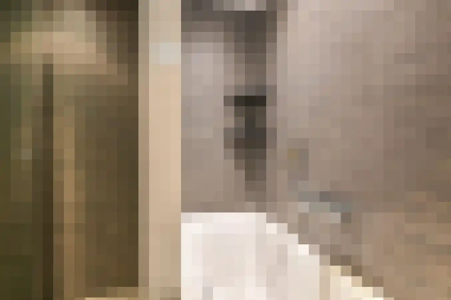 van Leeuwenhoekstraat 38 Hoogeveen thumbnail 33