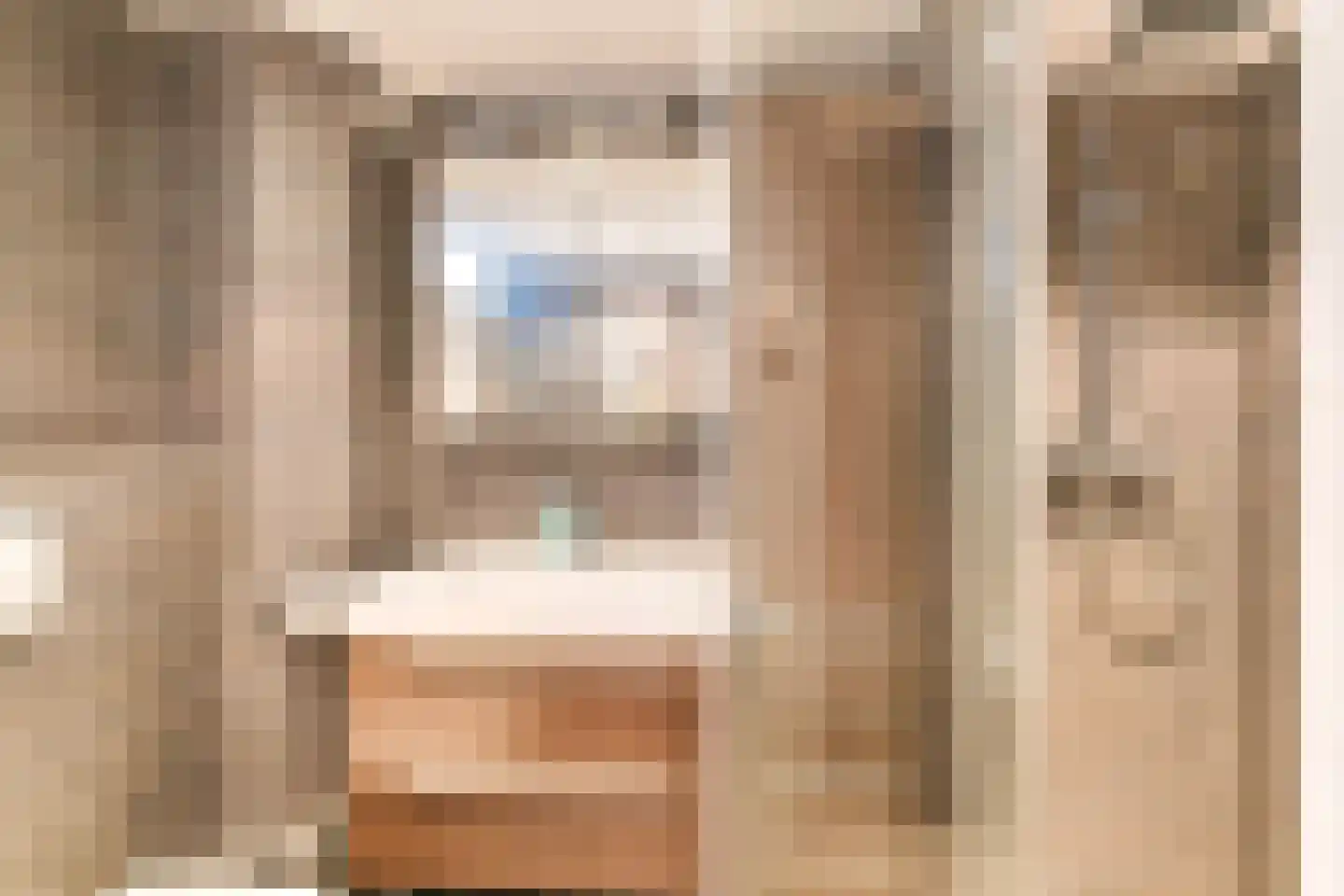 van Leeuwenhoekstraat 38 Hoogeveen thumbnail 34