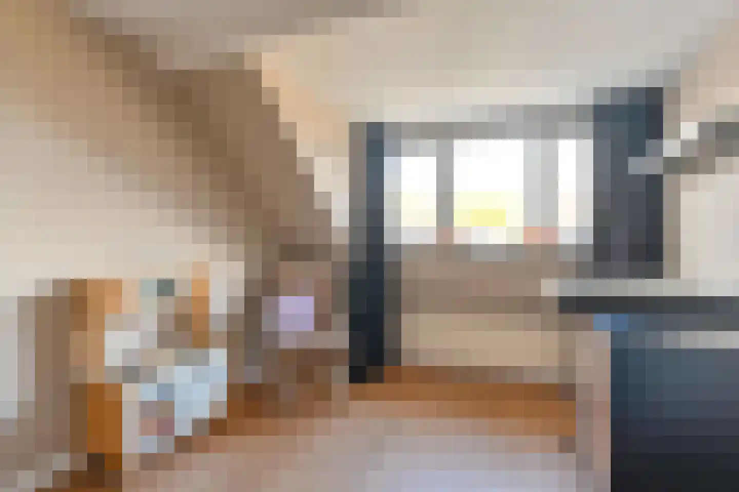 van Leeuwenhoekstraat 38 Hoogeveen thumbnail 36