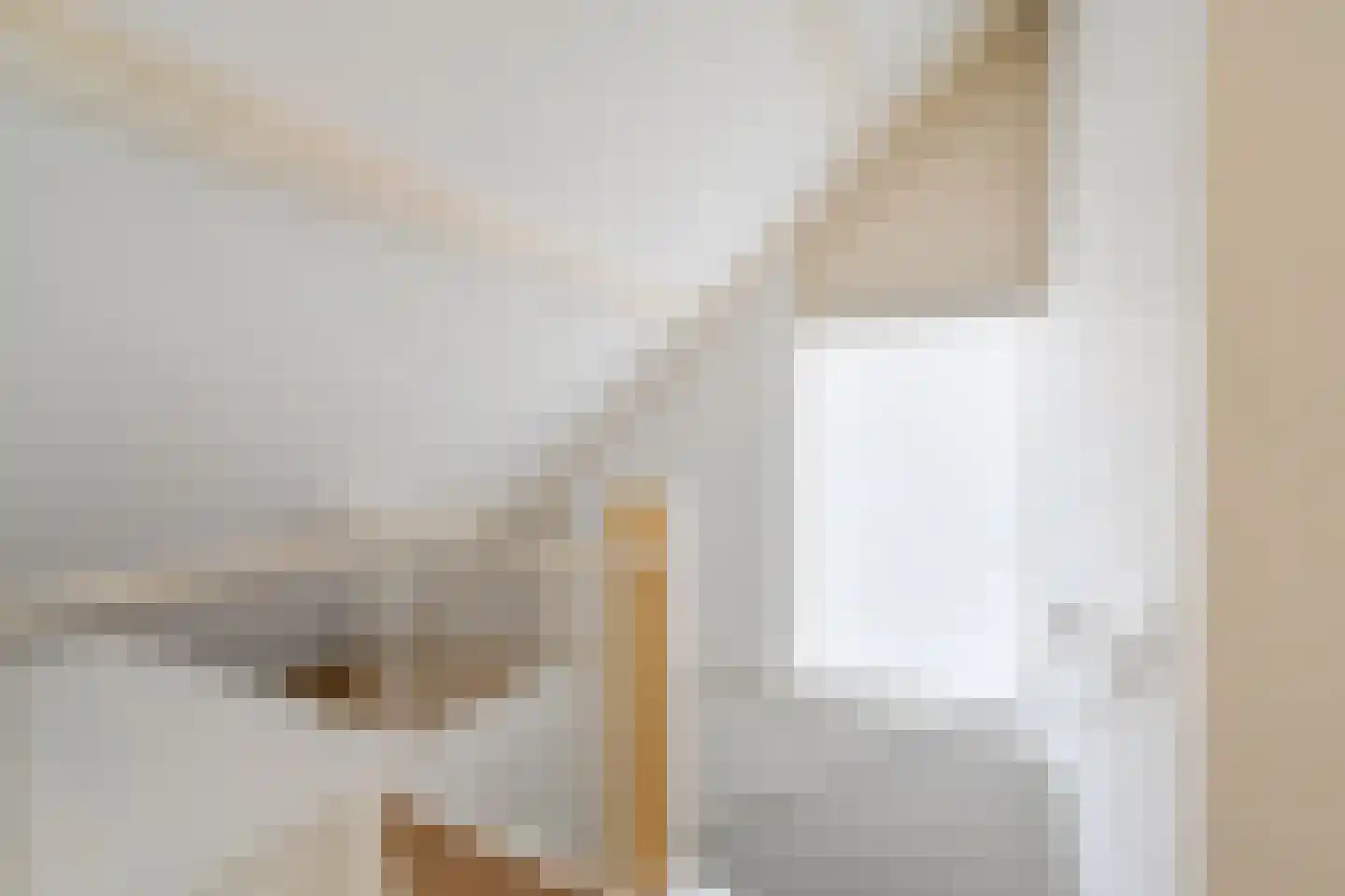 van Leeuwenhoekstraat 38 Hoogeveen thumbnail 44
