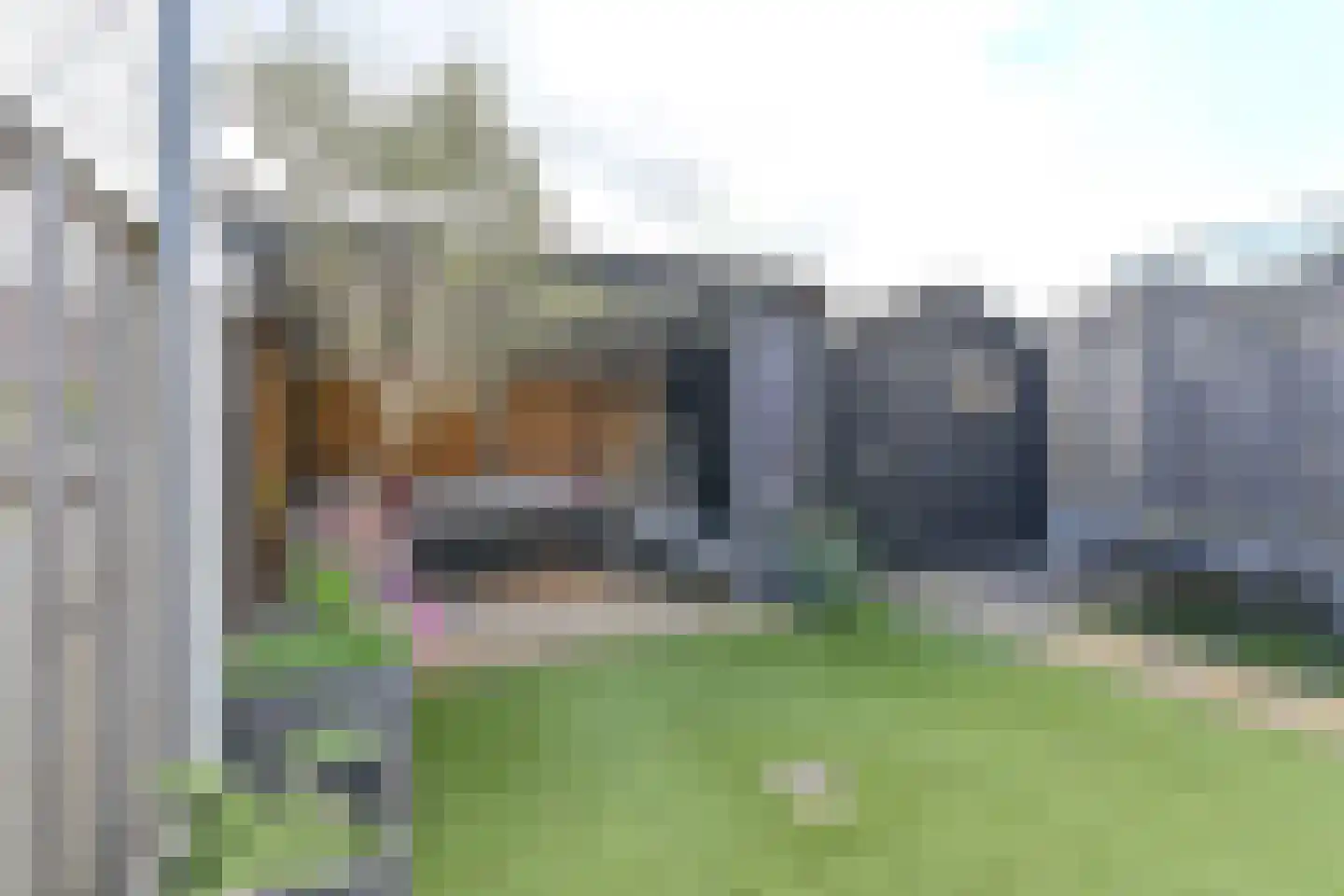van Leeuwenhoekstraat 38 Hoogeveen thumbnail 48