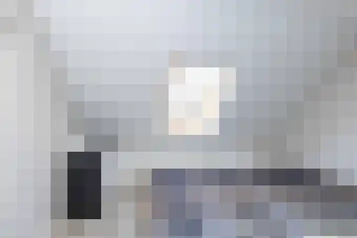 van Leeuwenhoekstraat 39 Hoogeveen thumbnail 30