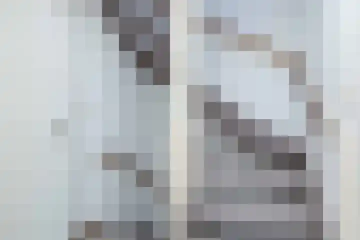 van Leeuwenhoekstraat 39 Hoogeveen thumbnail 39