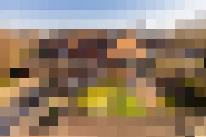 van Leeuwenhoekstraat 39 Hoogeveen thumbnail 44