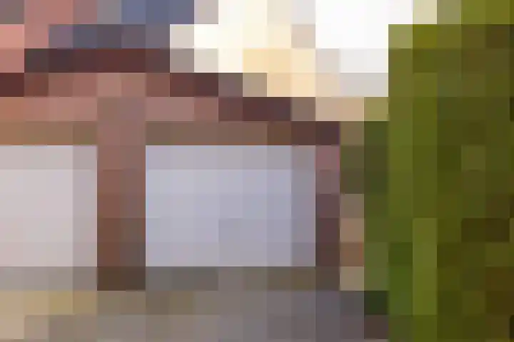 van Leeuwenhoekstraat 39 Hoogeveen thumbnail 47