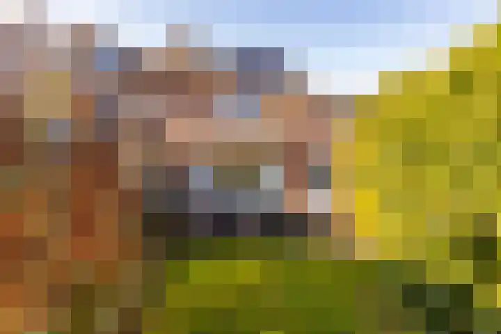 van Leeuwenhoekstraat 39 Hoogeveen thumbnail 48