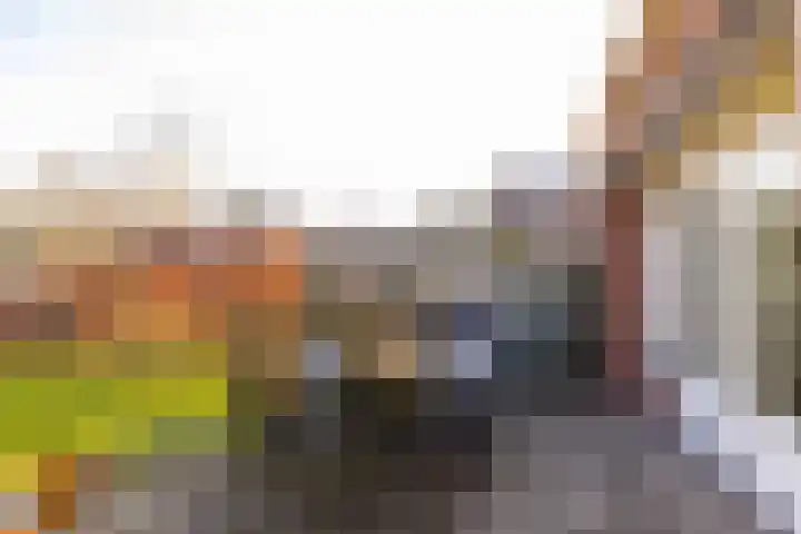 van Leeuwenhoekstraat 39 Hoogeveen thumbnail 50