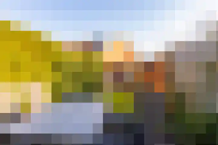 van Leeuwenhoekstraat 39 Hoogeveen thumbnail 51