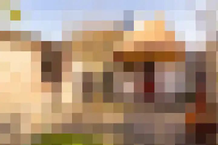 van Leeuwenhoekstraat 39 Hoogeveen thumbnail 53