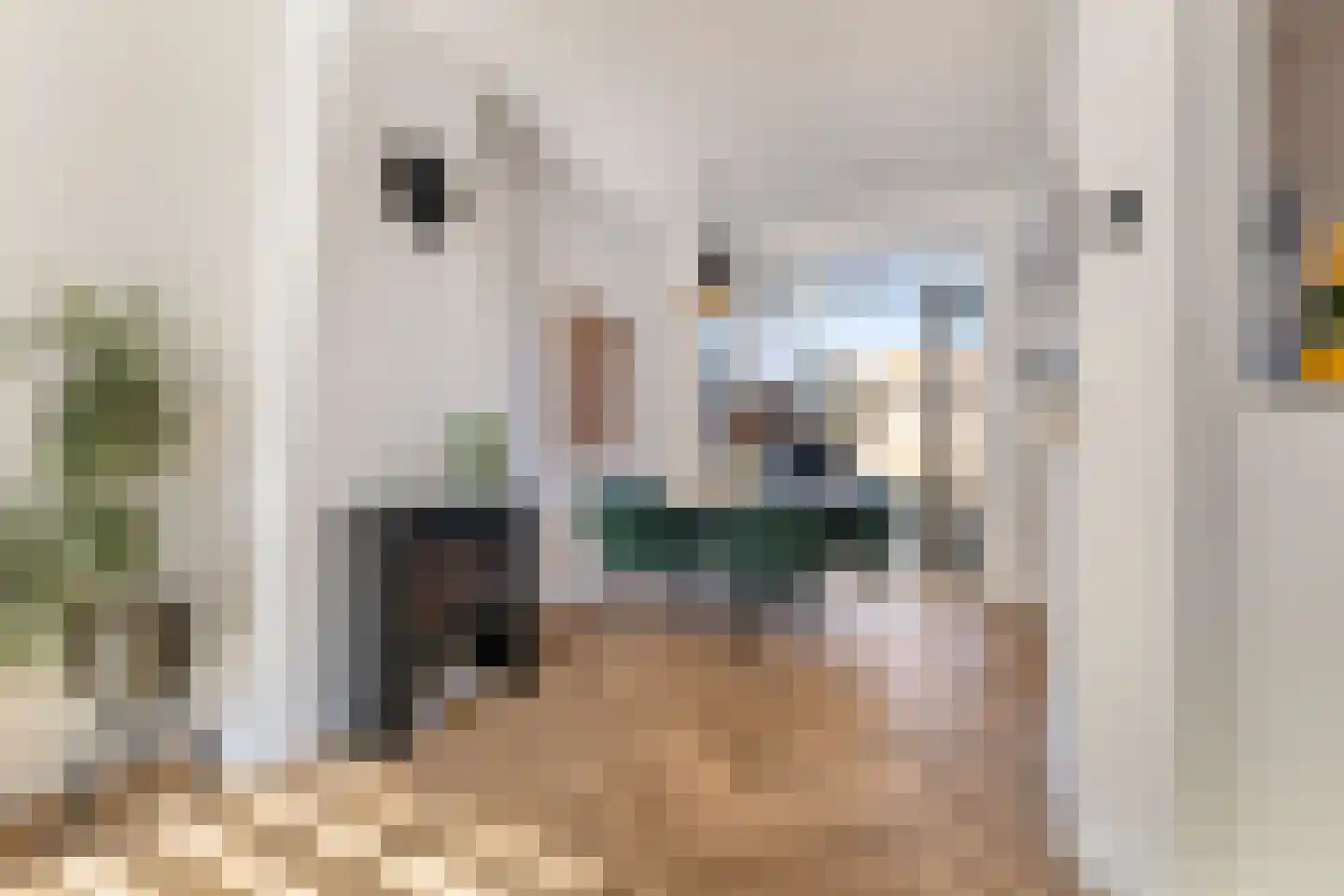Van Leeuwenhoekstraat 4 Alkmaar thumbnail 11