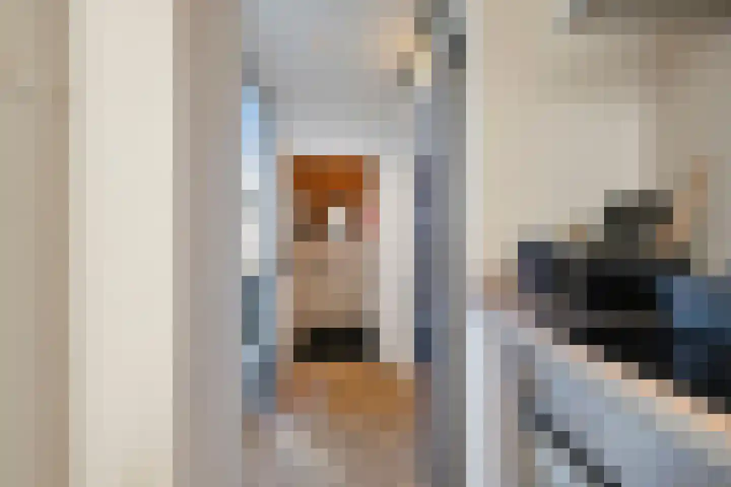 Van Leeuwenhoekstraat 4 Alkmaar thumbnail 15