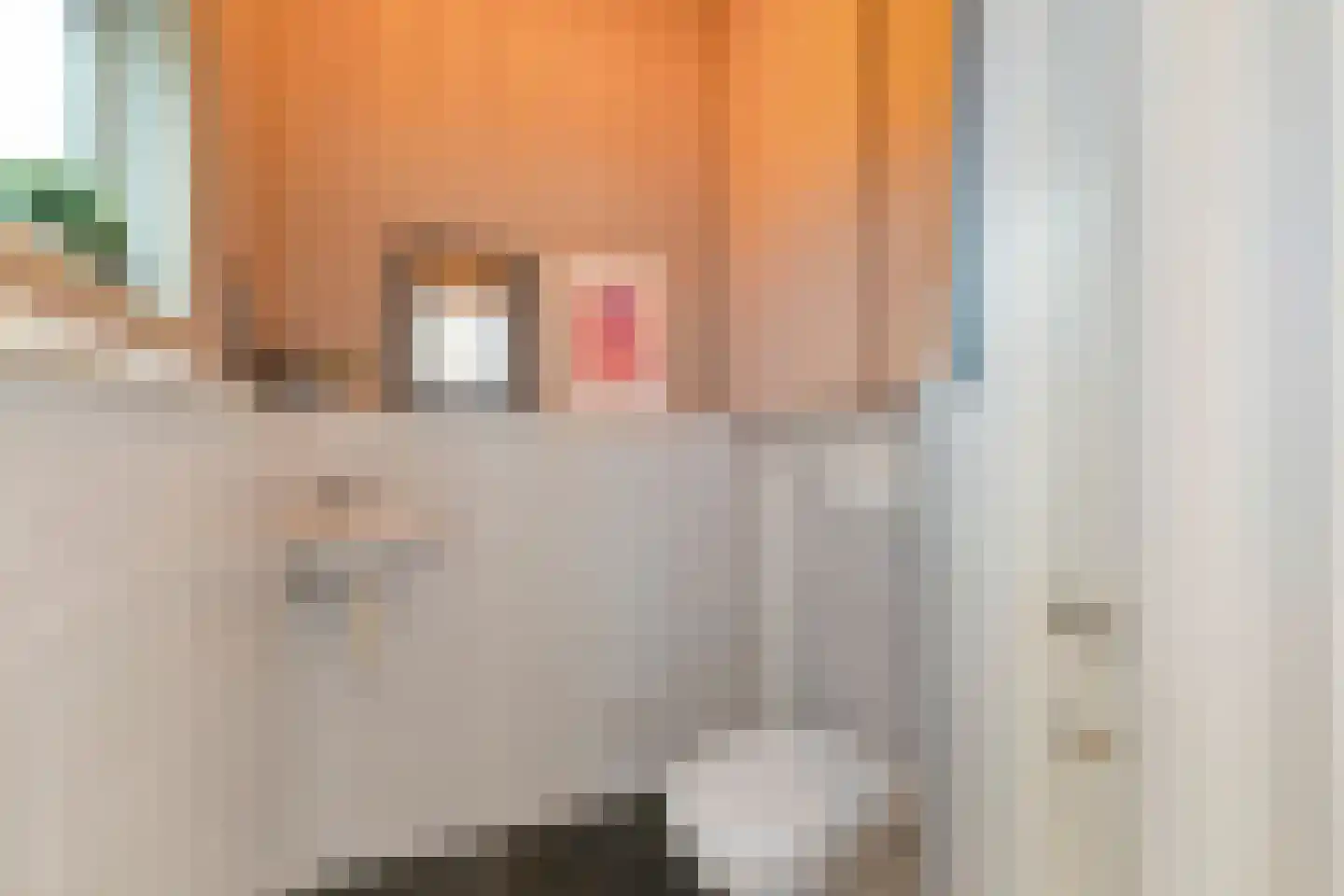 Van Leeuwenhoekstraat 4 Alkmaar thumbnail 16