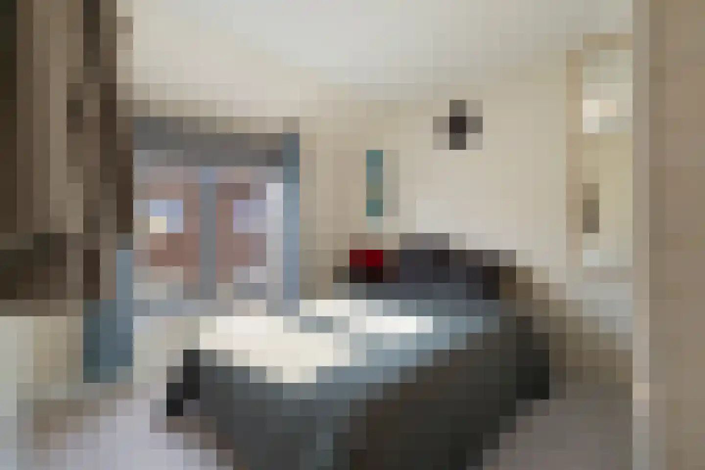 Van Leeuwenhoekstraat 4 Alkmaar thumbnail 20