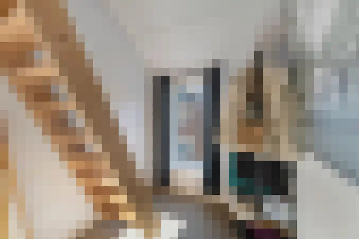 Van Leeuwenhoekstraat 4 Alkmaar thumbnail 27