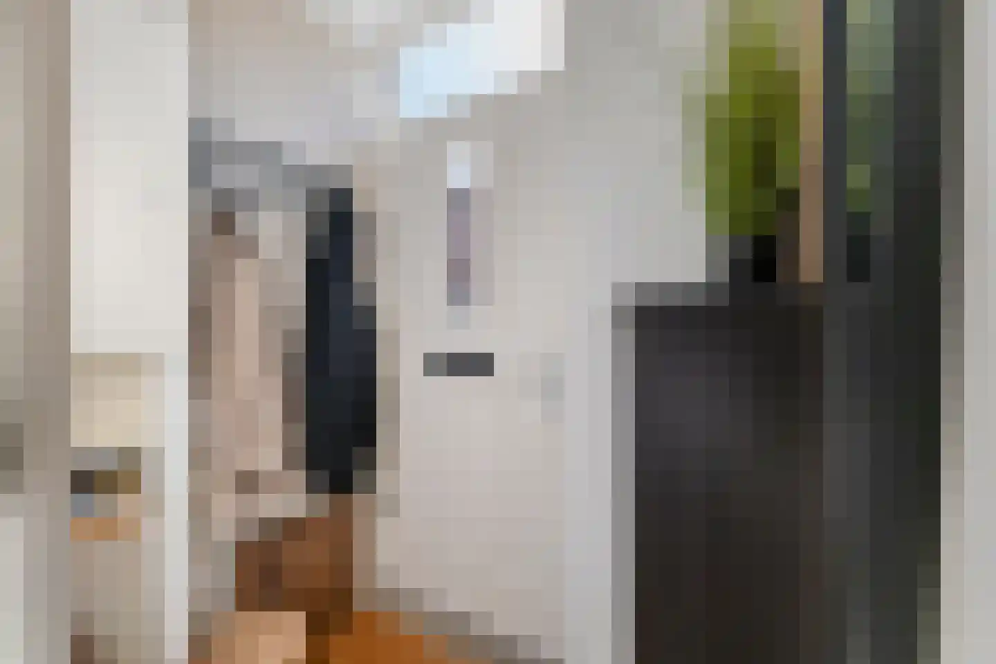 Van Leeuwenhoekstraat 4 Alkmaar thumbnail 6