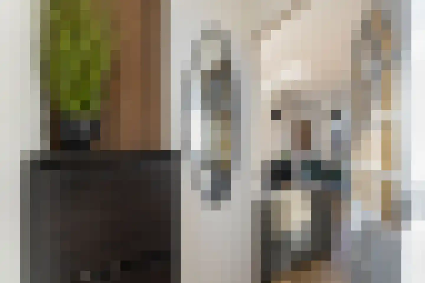 Van Leeuwenhoekstraat 4 Alkmaar thumbnail 7
