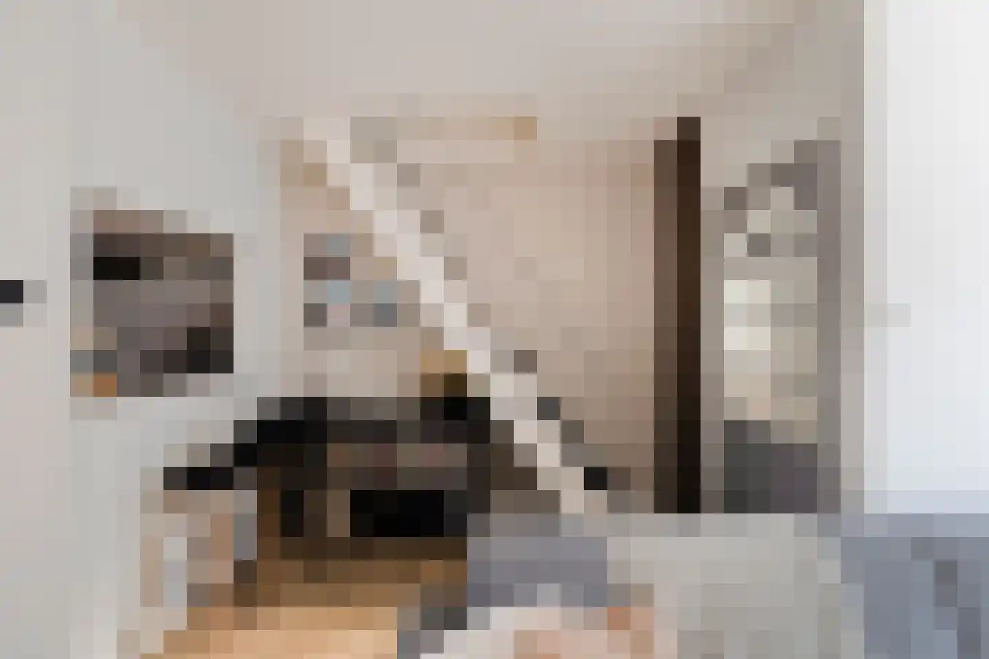 Van Leeuwenhoekstraat 4 Alkmaar thumbnail 8